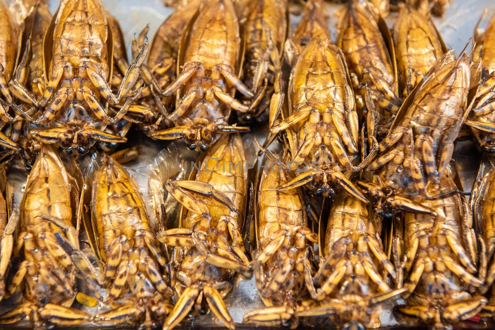 crispy Insects at Thai Food Market on Wat Saket Festival Fair in Bangkok in Thailand.  Thailand, Bangkok, November, 8, 2024.