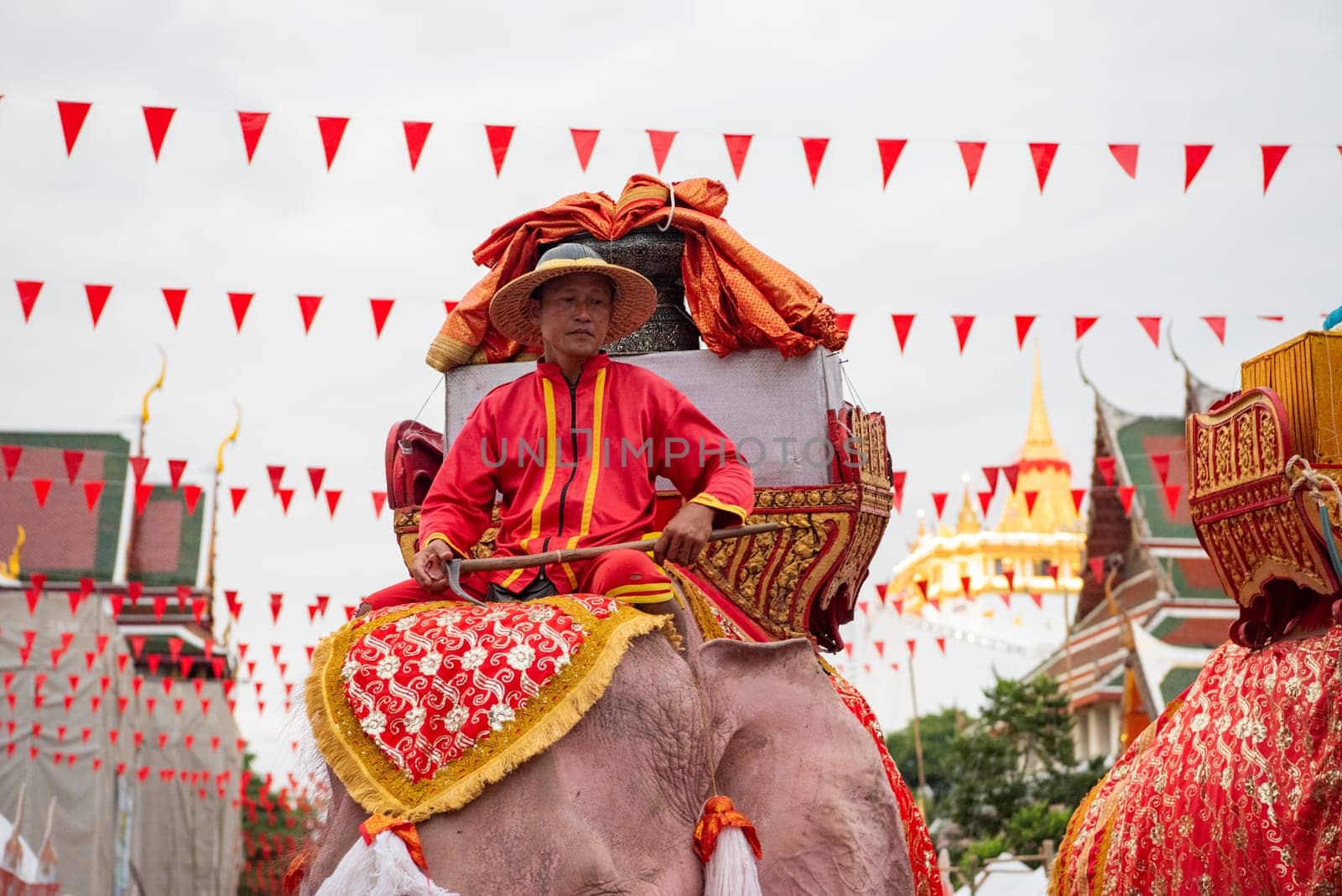 Thai Elephants at the Opening Ceremony of Wat Saket Festival Fair in Bangkok in Thailand.  Thailand, Bangkok, November, 8, 2024.
