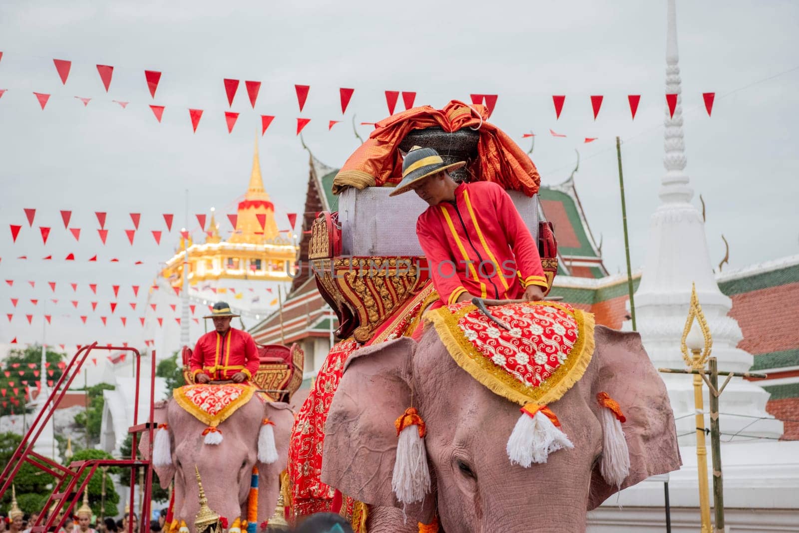 Thai Elephants at the Opening Ceremony of Wat Saket Festival Fair in Bangkok in Thailand.  Thailand, Bangkok, November, 8, 2024.