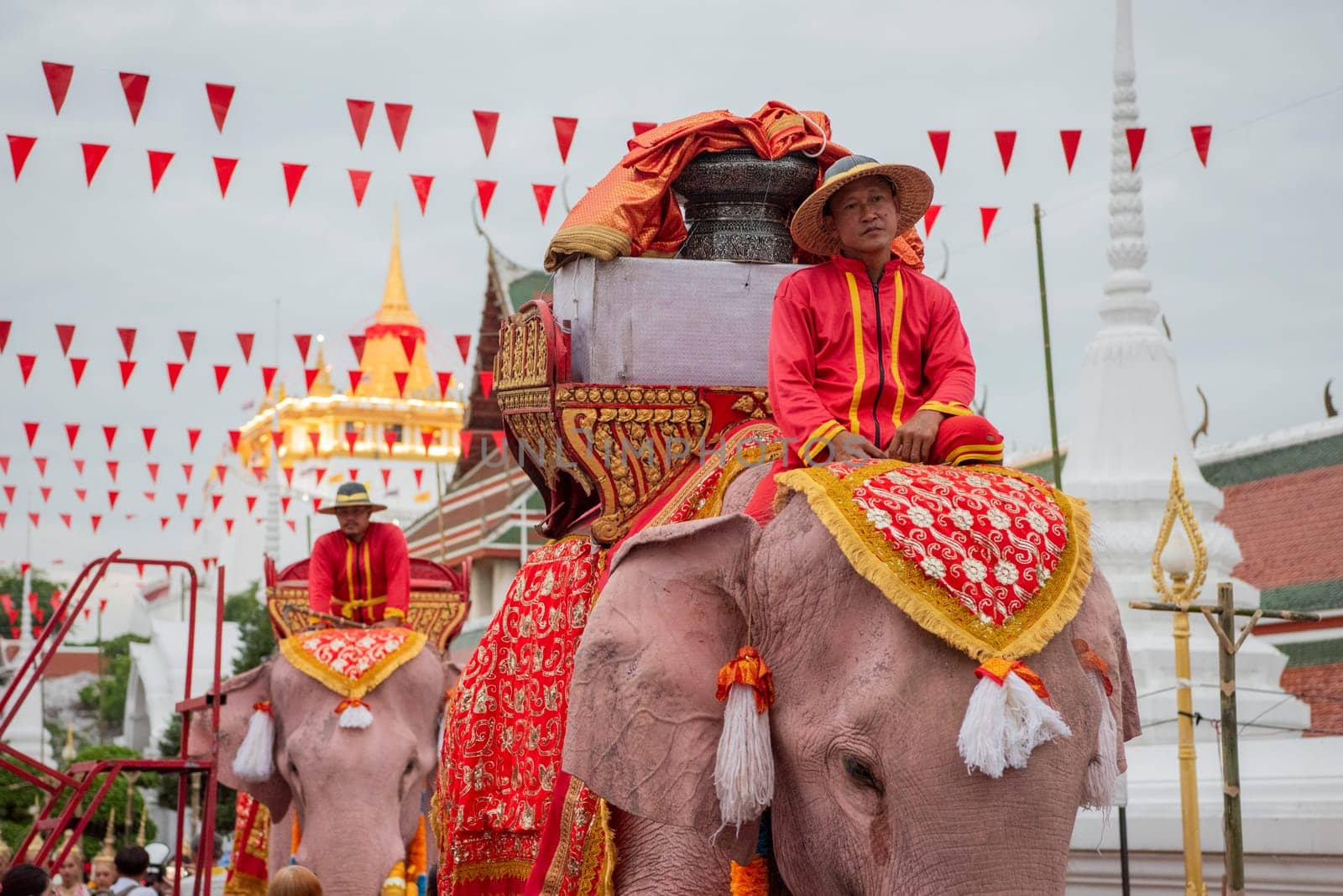 Thai Elephants at the Opening Ceremony of Wat Saket Festival Fair in Bangkok in Thailand.  Thailand, Bangkok, November, 8, 2024.