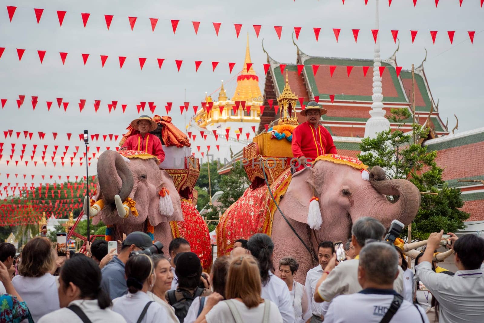 Thai Elephants at the Opening Ceremony of Wat Saket Festival Fair in Bangkok in Thailand.  Thailand, Bangkok, November, 8, 2024.