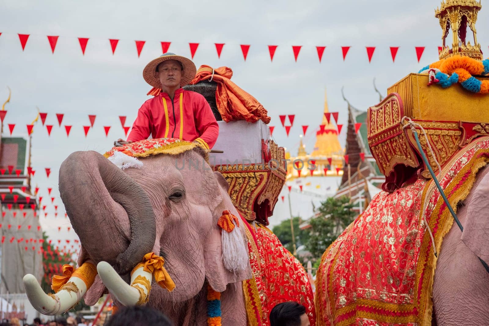 Thai Elephants at the Opening Ceremony of Wat Saket Festival Fair in Bangkok in Thailand.  Thailand, Bangkok, November, 8, 2024.