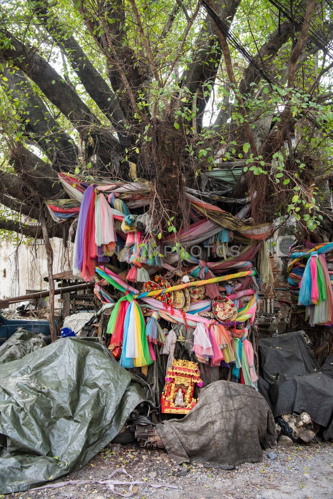 a Shrine on a Tree in a alley in Talat Noi at China Town in City of Bangkok in Thailand.  Thailand, Bangkok, November, 5, 2024.