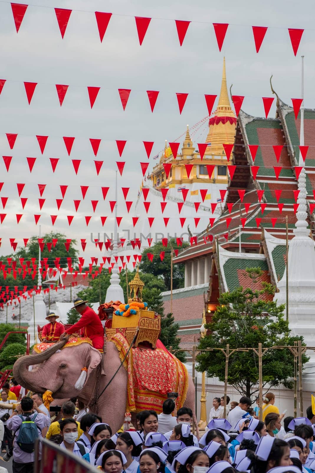 Thai Elephants at the Opening Ceremony of Wat Saket Festival Fair in Bangkok in Thailand.  Thailand, Bangkok, November, 8, 2024.