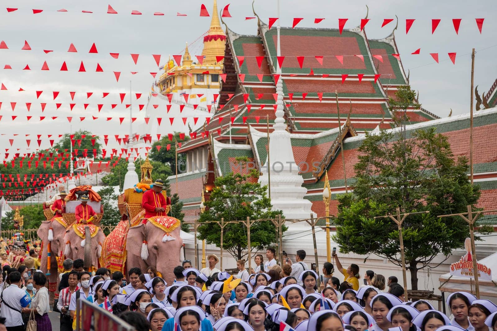Thai Elephants at the Opening Ceremony of Wat Saket Festival Fair in Bangkok in Thailand.  Thailand, Bangkok, November, 8, 2024.