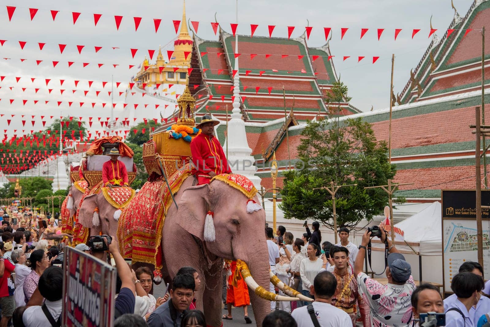 Thai Elephants at the Opening Ceremony of Wat Saket Festival Fair in Bangkok in Thailand.  Thailand, Bangkok, November, 8, 2024.