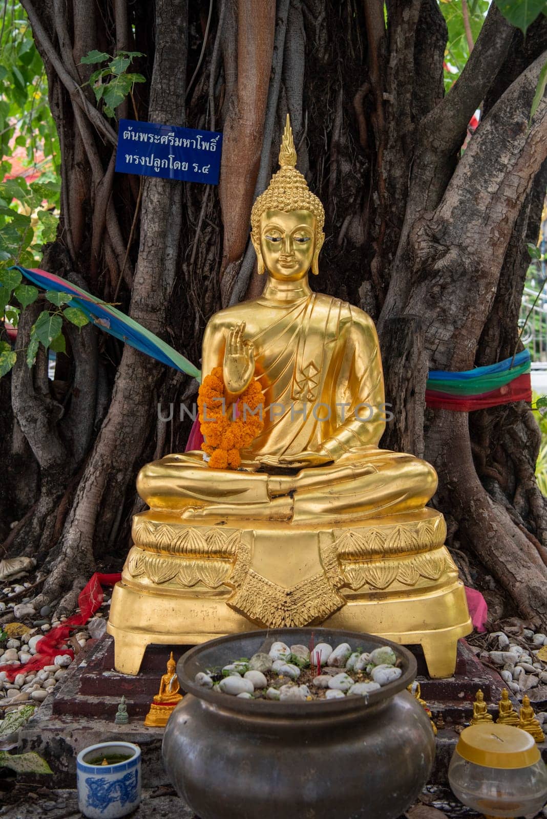 Buddha at Wat Maha Phruettharam Worawihan in Bang Rak in City of Bangkok in Thailand.  Thailand, Bangkok, November, 6, 2024.