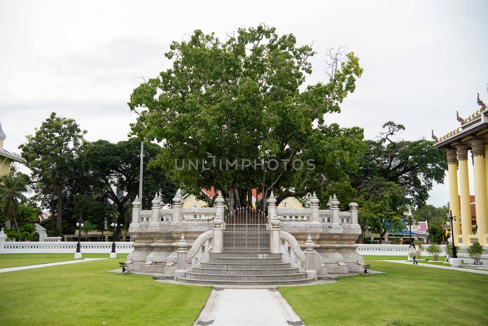 Wat Thepsirintrawat Ratchaworawihan in City of Bangkok in Thailand.  Thailand, Bangkok, November, 6, 2024.