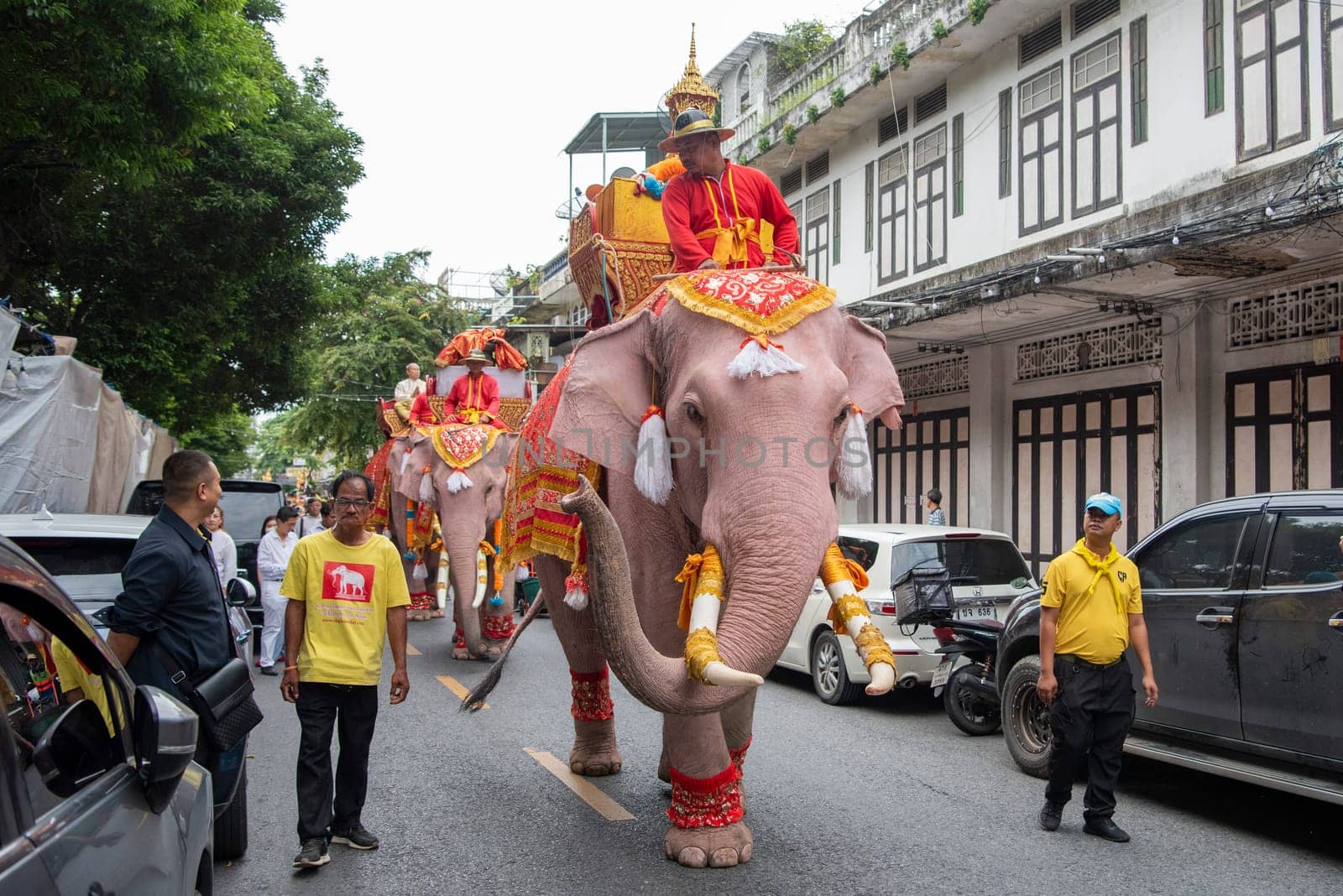 Thai Elephants at the Opening Ceremony of Wat Saket Festival Fair in Bangkok in Thailand.  Thailand, Bangkok, November, 8, 2024.