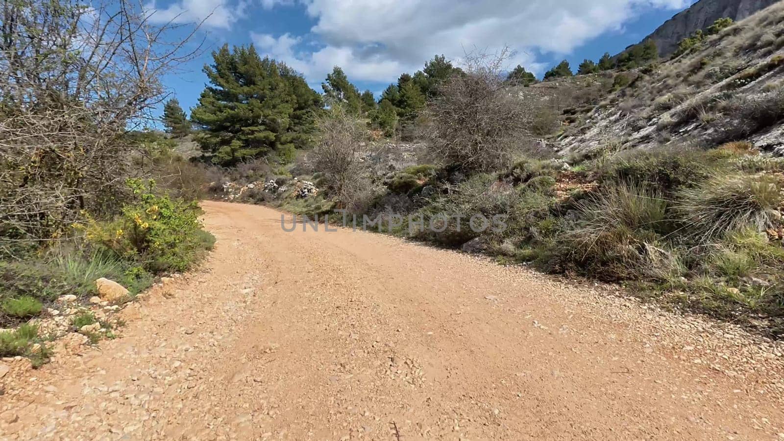Take a moment to explore a tranquil dirt path that is flanked by lush greenery and bright, blue skies above