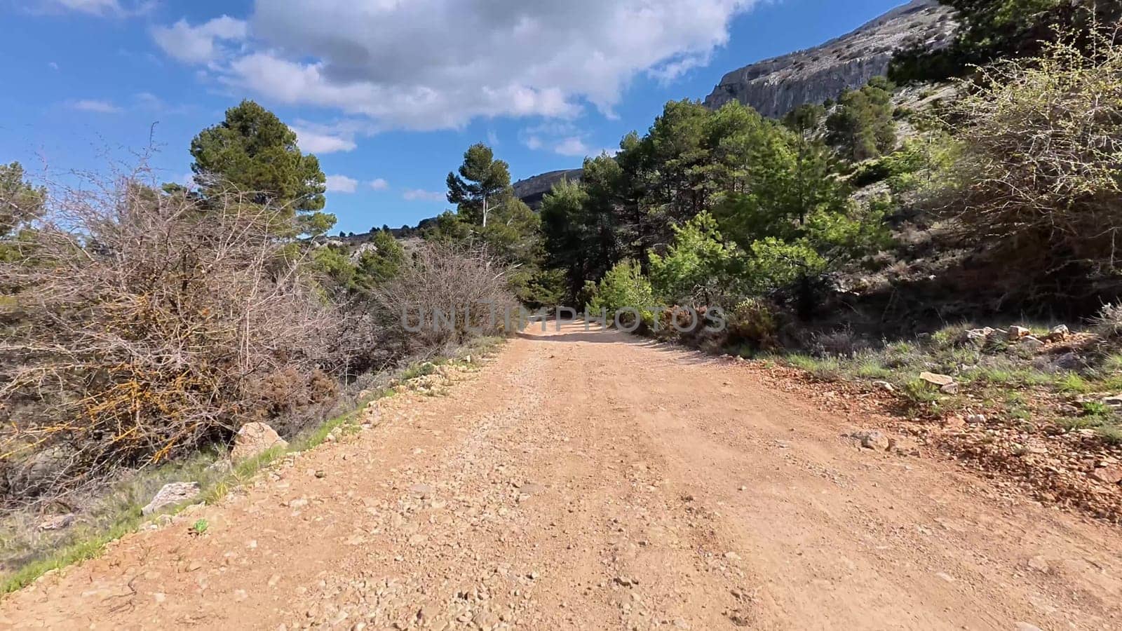 A meandering dirt road winds its way through beautiful lush foliage and towering mountains beneath a clear blue sky