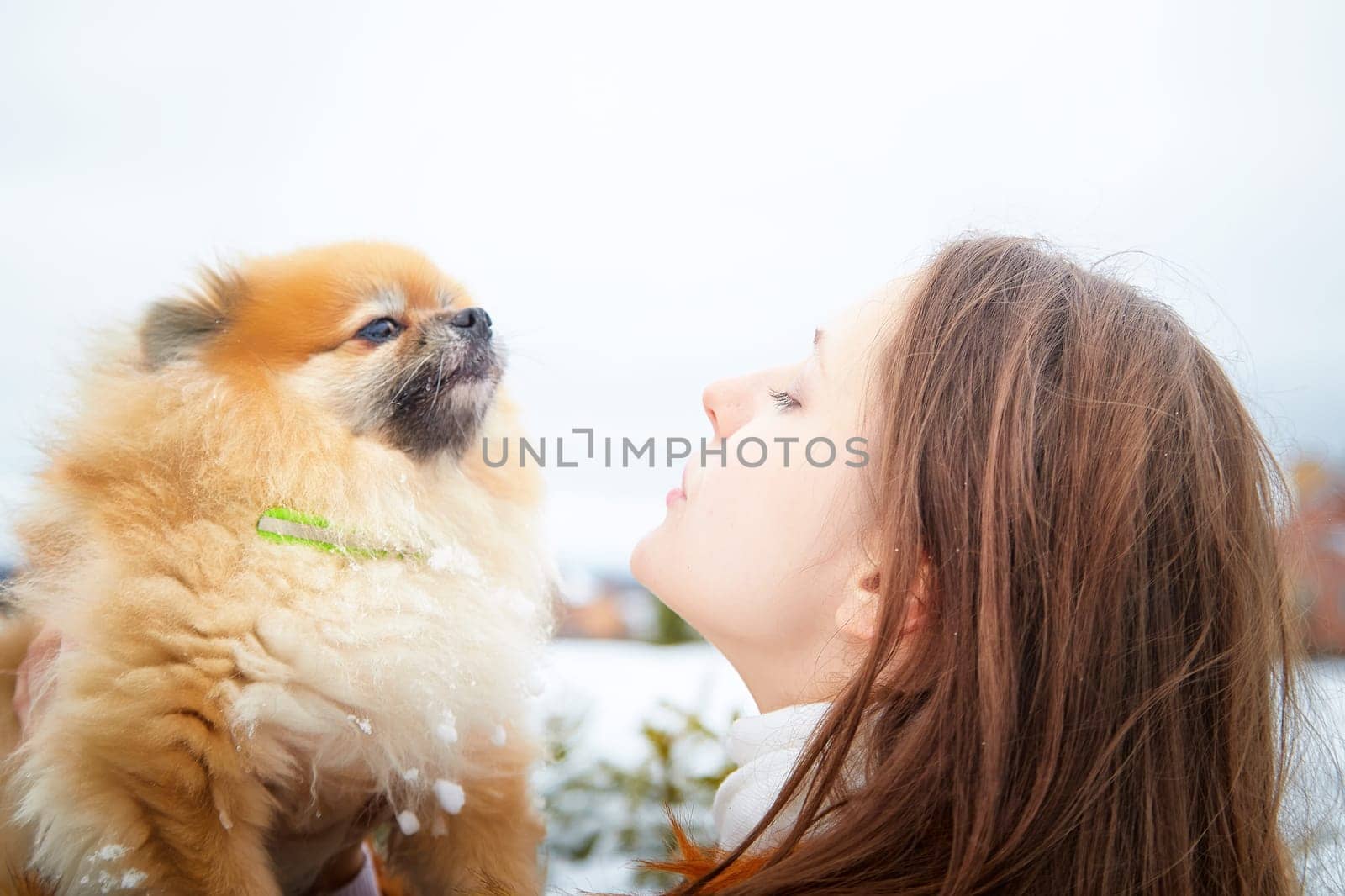 A proud girl holds her fluffy red Pomeranian close while taking a winter stroll in the snowy landscape.