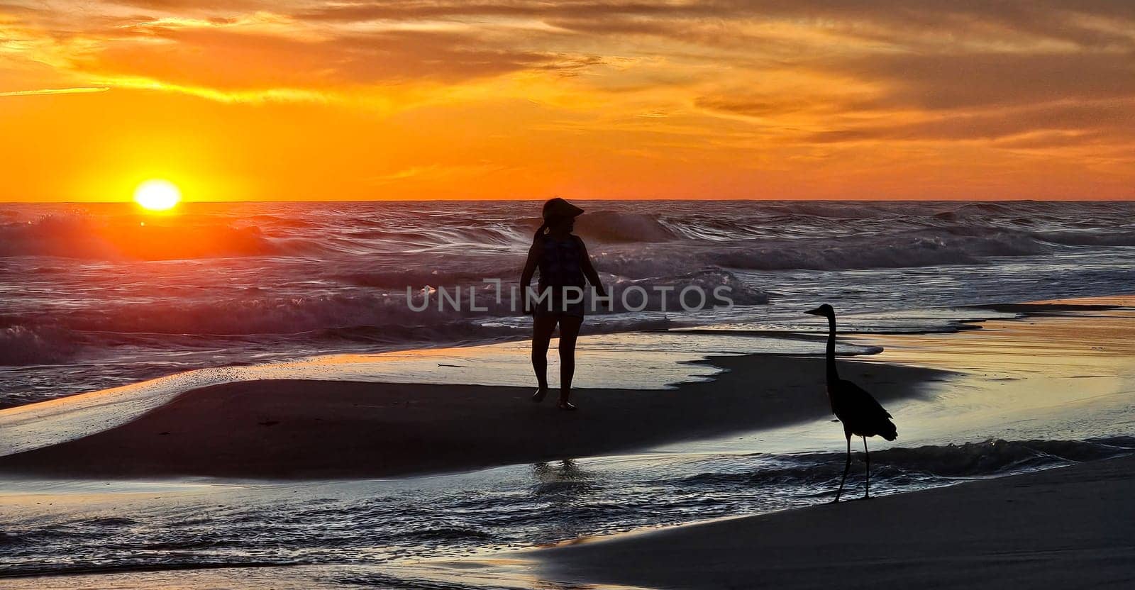 This image captures a serene coastal sunset with a woman and a heron silhouetted against the vibrant sky, showcasing the beauty of nature and peaceful beach strolls at twilight.