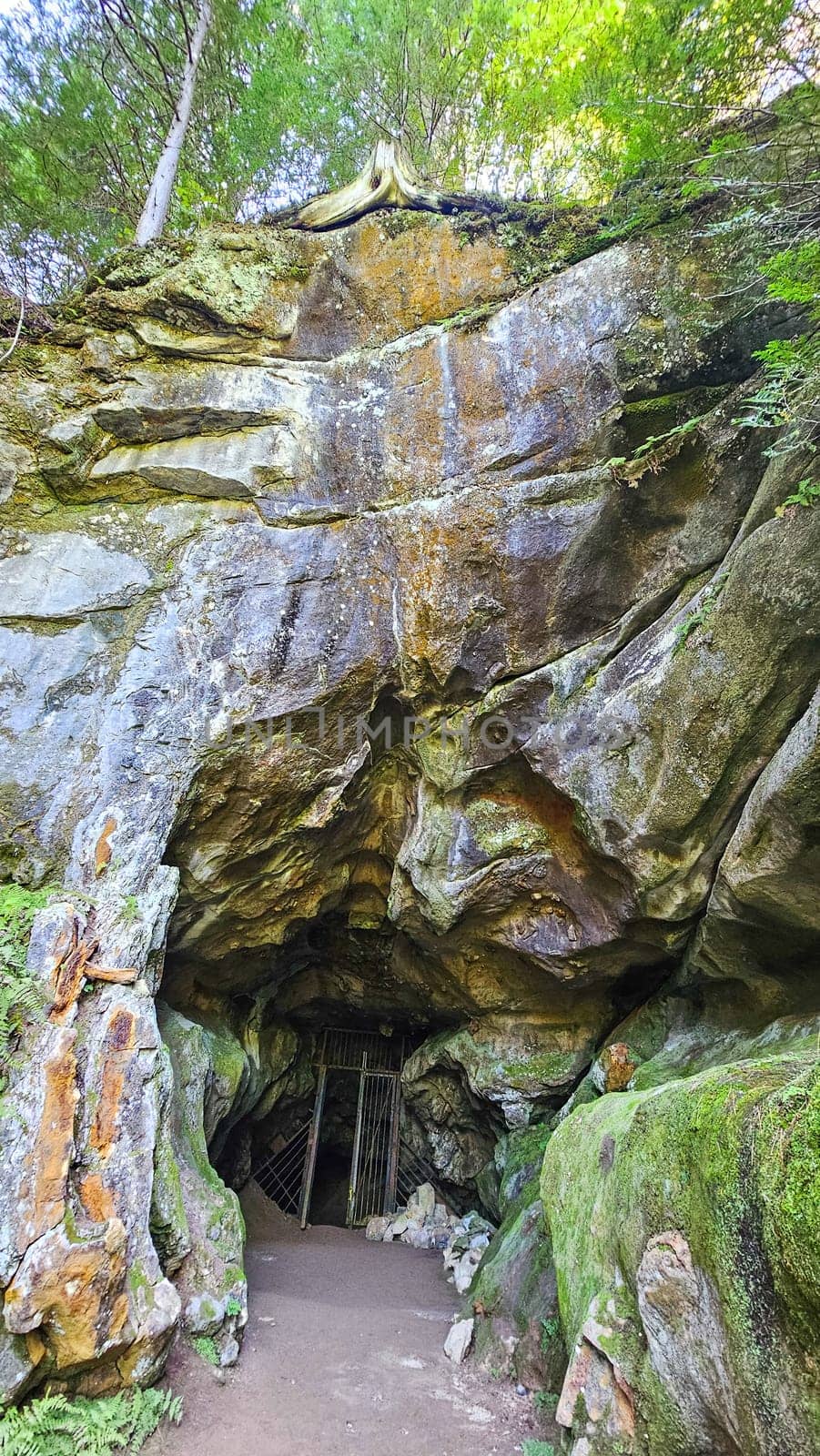 Discover the depths of this intriguing cave, featuring a metal gate and moss-covered stone walls. A captivating scene of nature s artistry and hidden mysteries awaits in a lush forest.