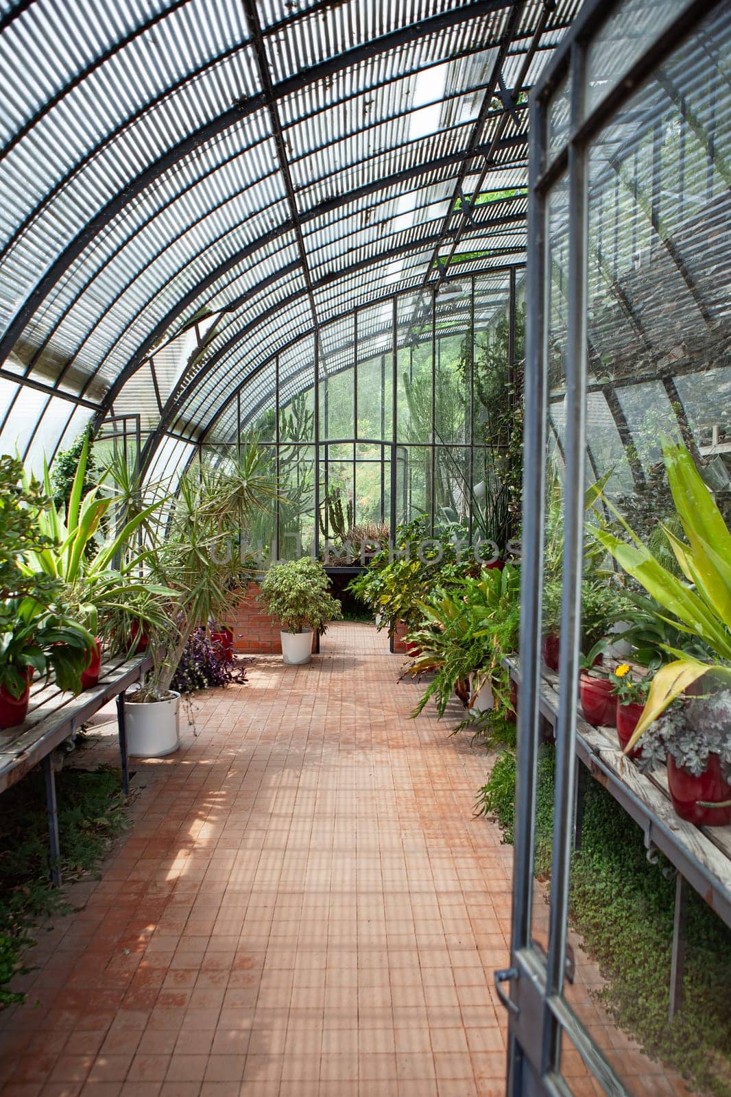 Interior on a vintage glass roof
