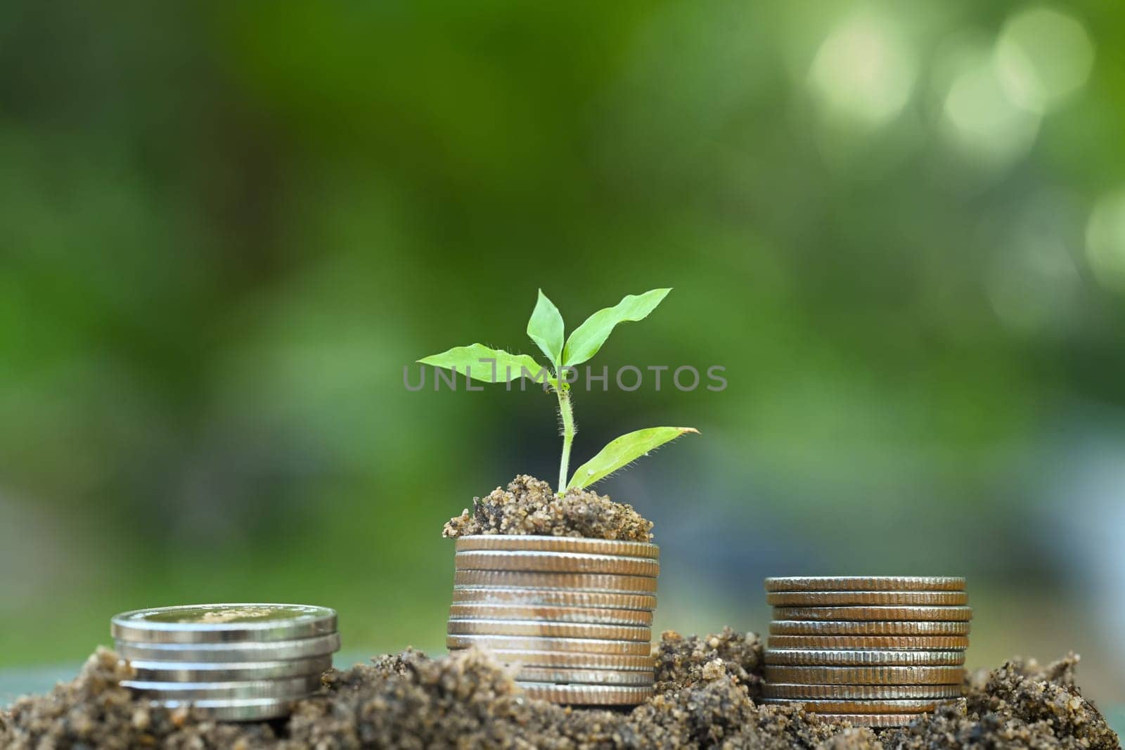 Economic growth, savings, and future financial success concept.