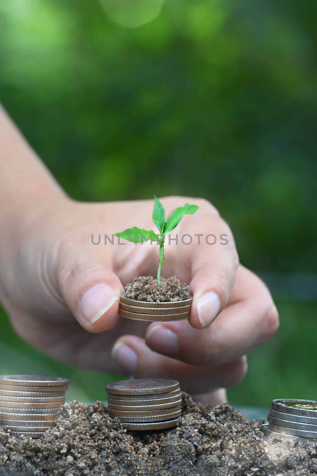 Hand holding stack of coins with soil and a small green plant, sustainable financial growth and investment.