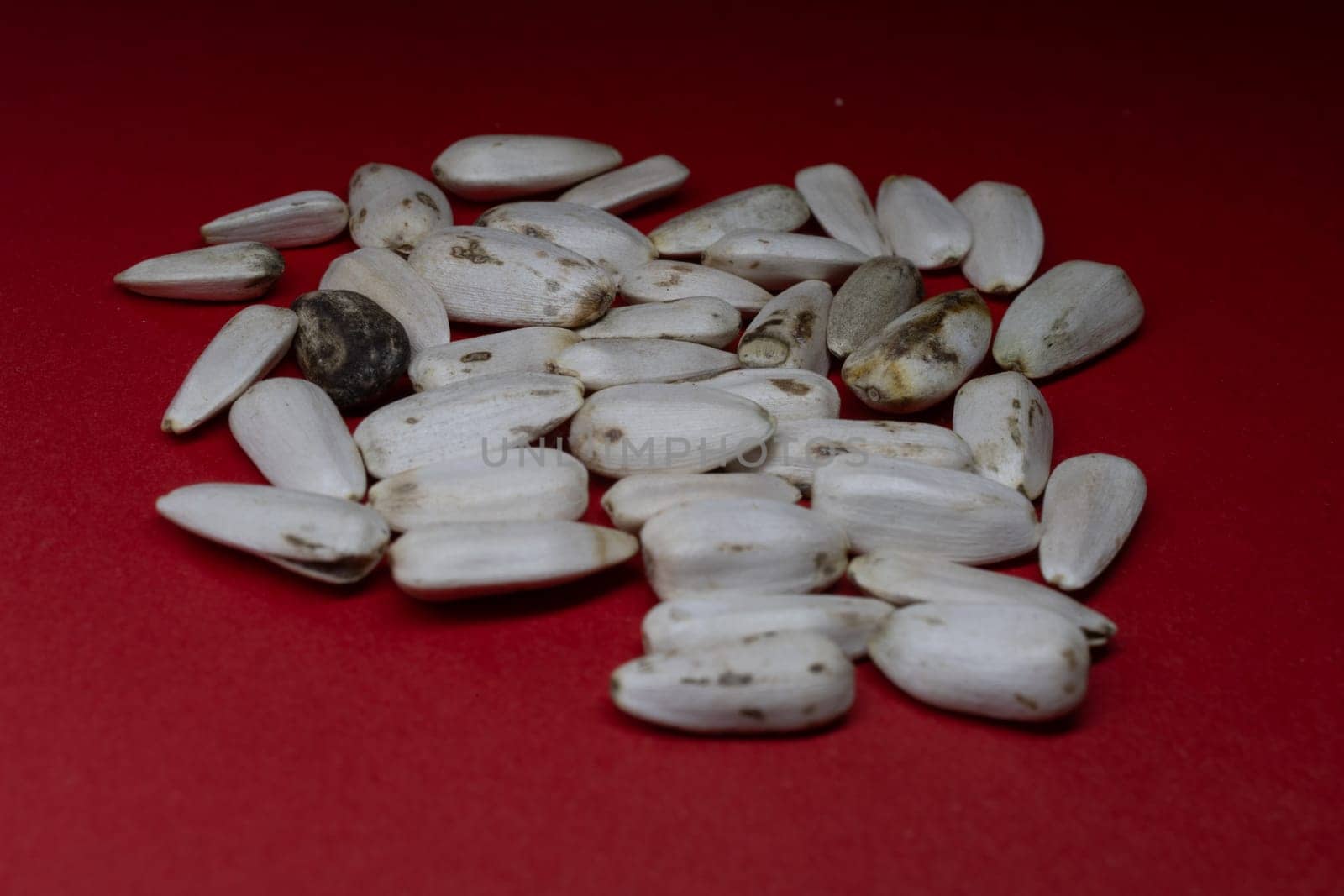 A pile of sunflower seeds as bird feed