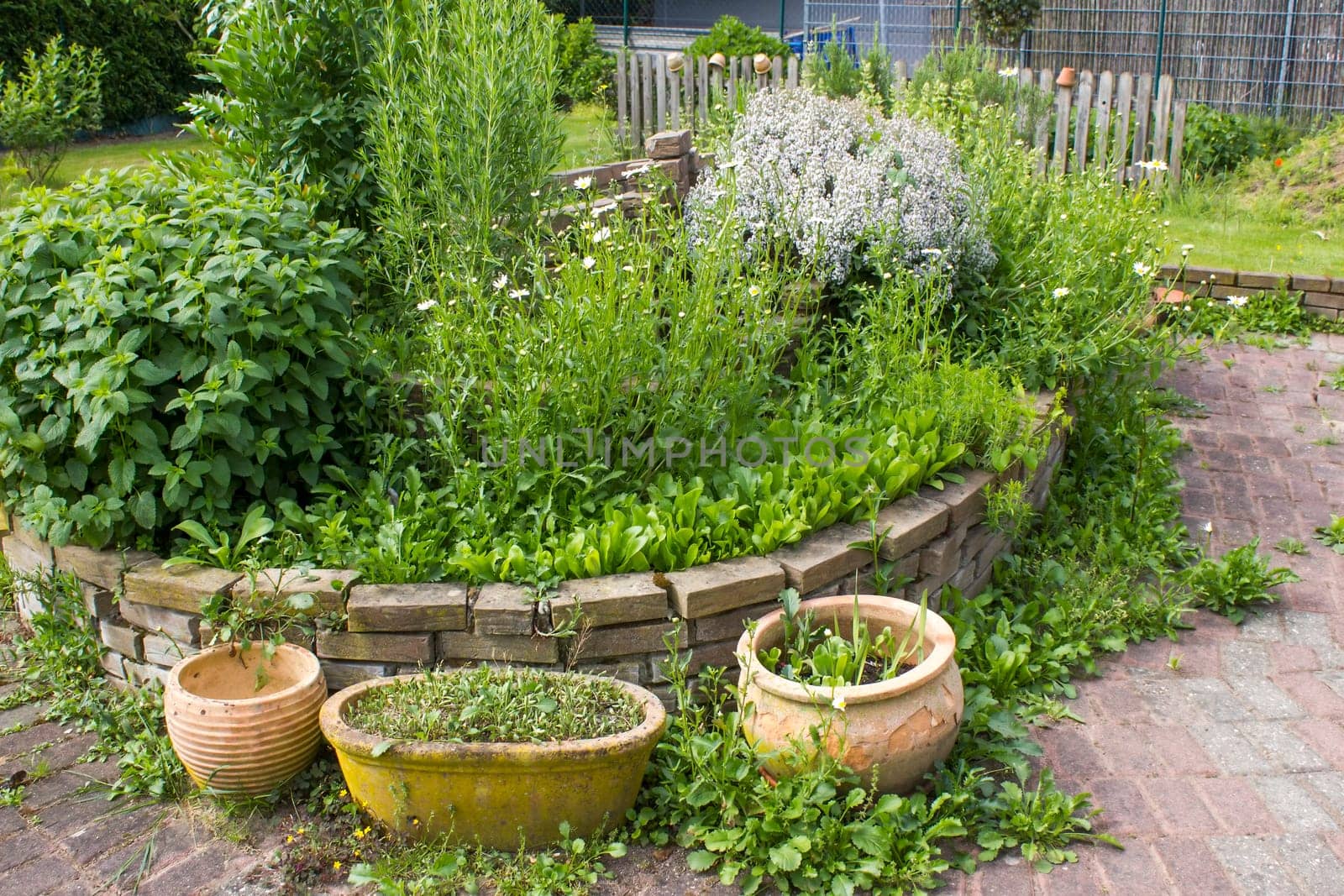 herb spiral in the garden with fresh herbs and flowers