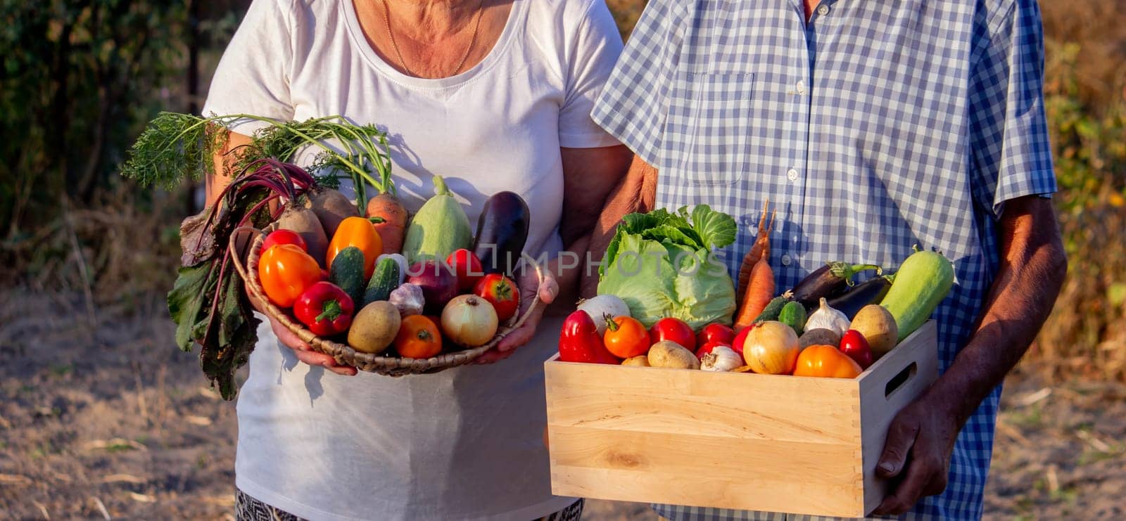 Farmers hold a wooden box and a wicker bowl full of fresh vegetables.