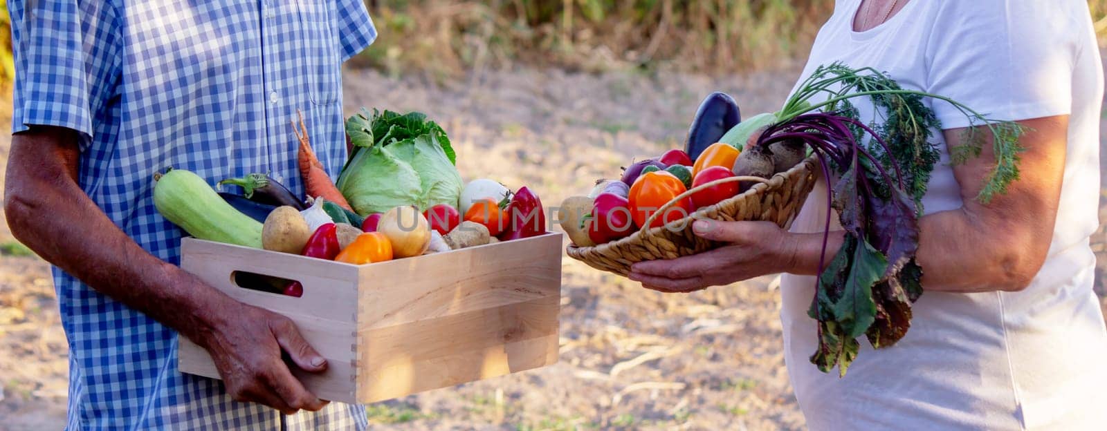 Farmers hold a wooden box and a wicker bowl full of fresh vegetables.