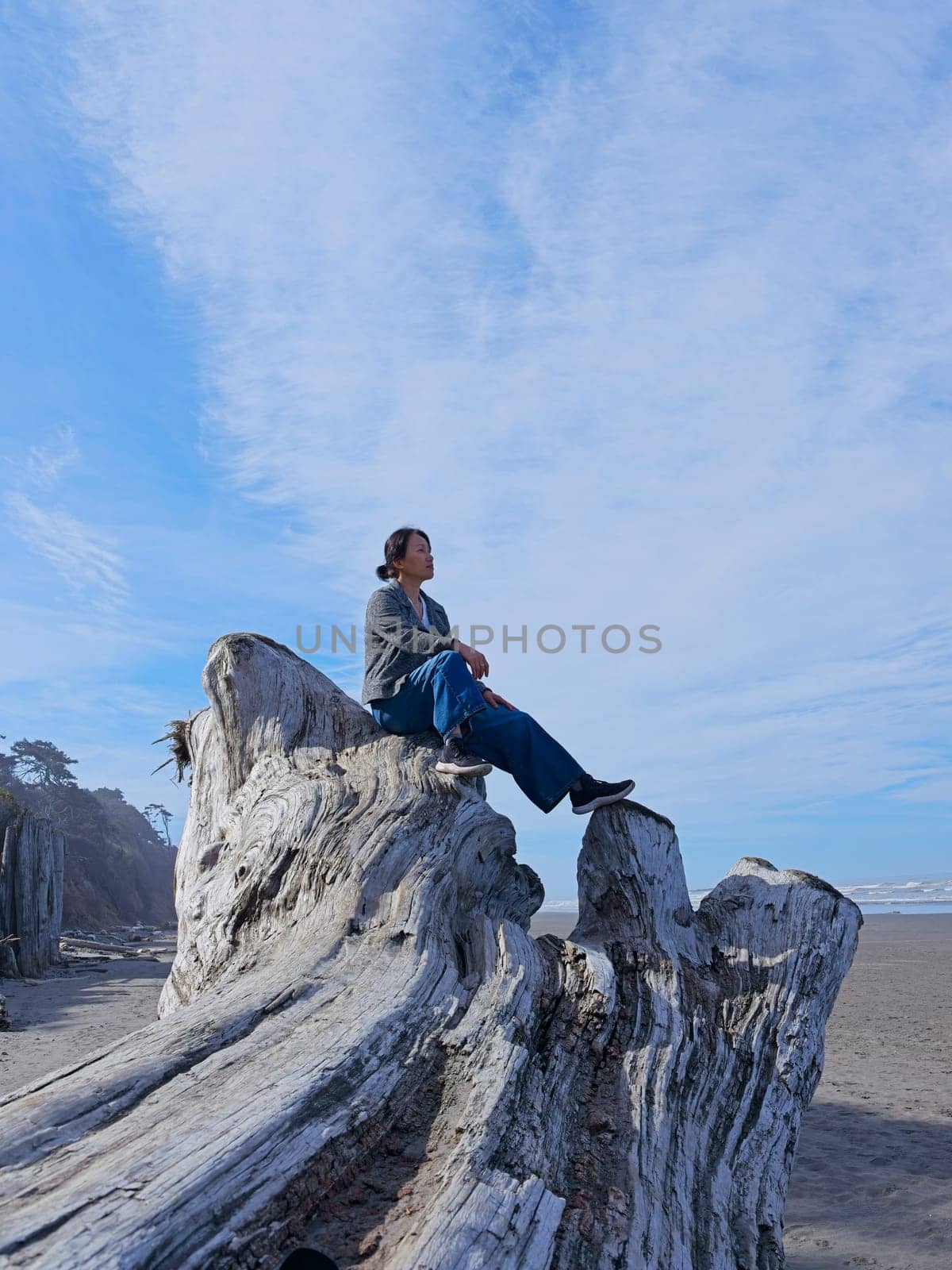 A middle aged woman sits on top of a large driftwood tree on the beach near Kalaloch area of Washington state.