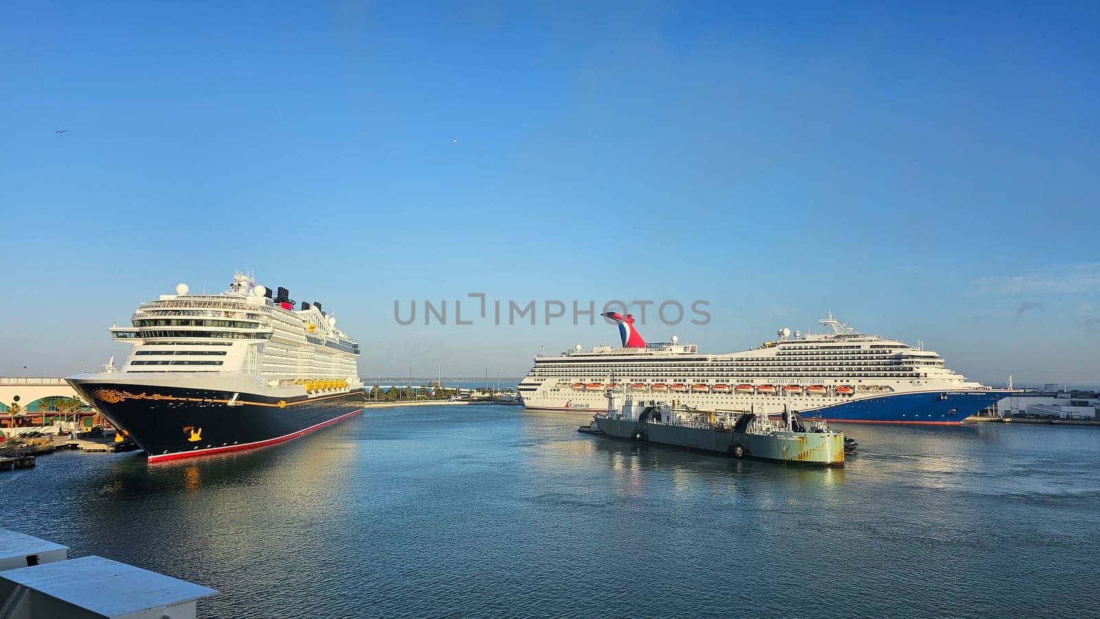Cape Canaveral, FL USA - 02.12.2024: Stunning Cruise Ships at Port Canaveral, Florida, Under Clear Skies