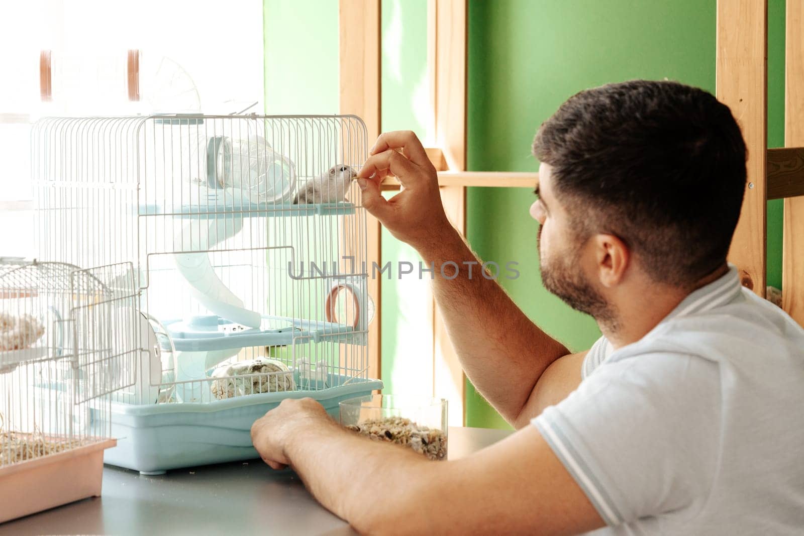 A man sits at a table, gently reaching into a small birdcage to interact with two birds. The setting is bright and cozy, suggesting a warm afternoon atmosphere.