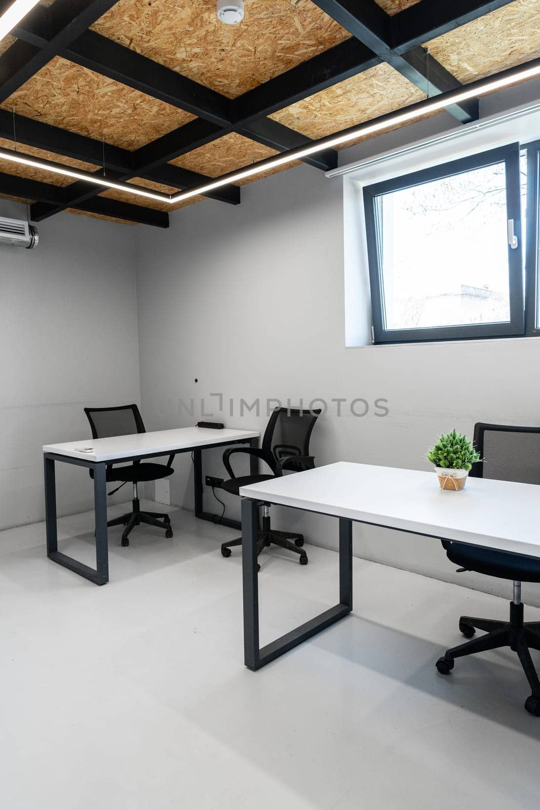 Brightly lit office area features two sleek desks and comfortable chairs, with large windows allowing natural light to fill the room. A small plant adds a touch of greenery.