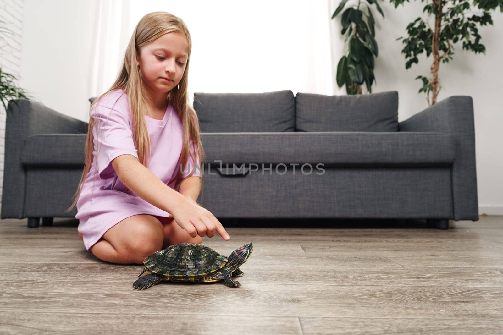 A young girl in a purple dress gently points at a turtle on the wooden floor of a bright living room, which has a comfortable couch and plants in the background.
