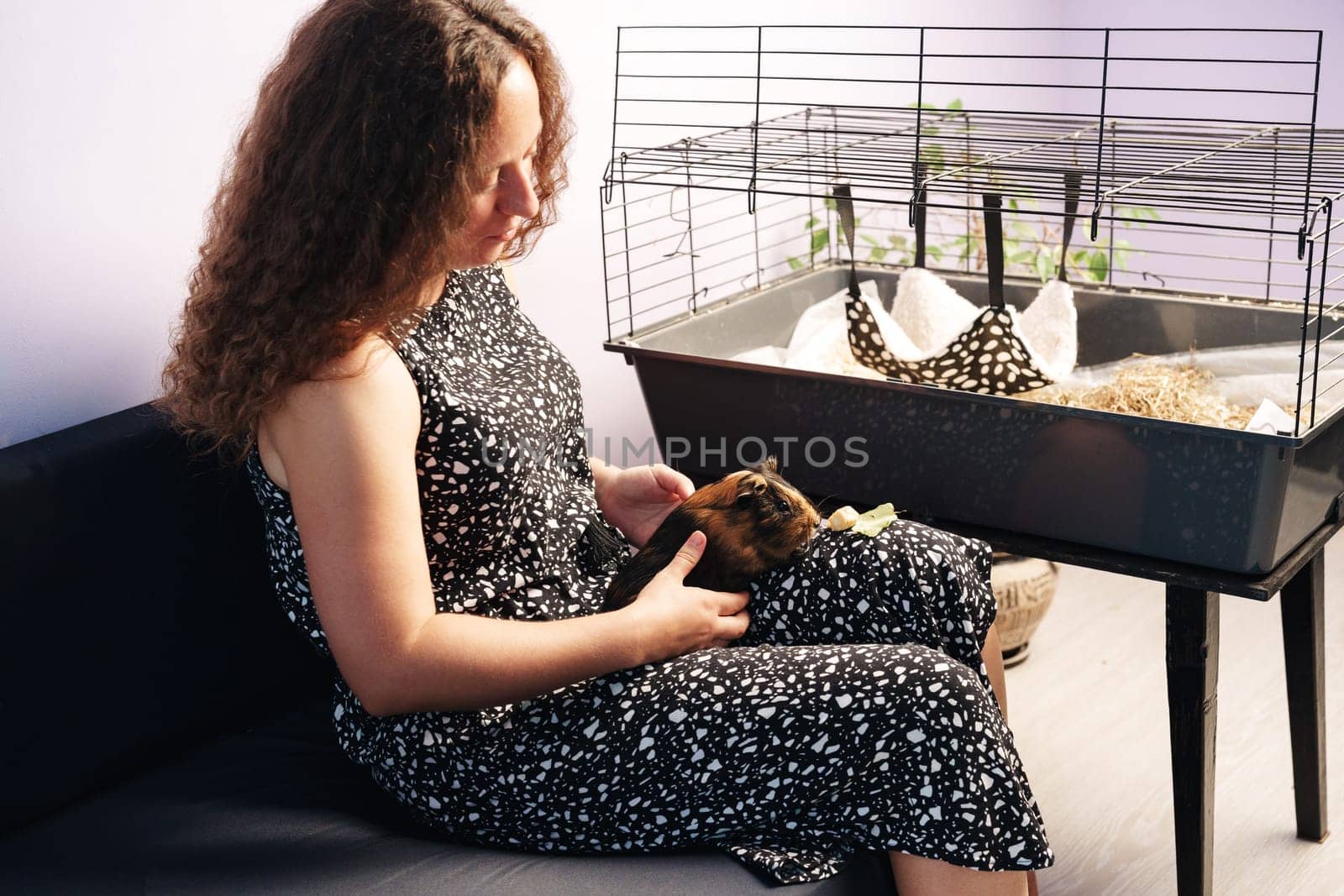 A woman with curly hair is gently holding a guinea pig while sitting on a couch. A cage is positioned nearby, filled with bedding and greenery, creating a warm atmosphere.