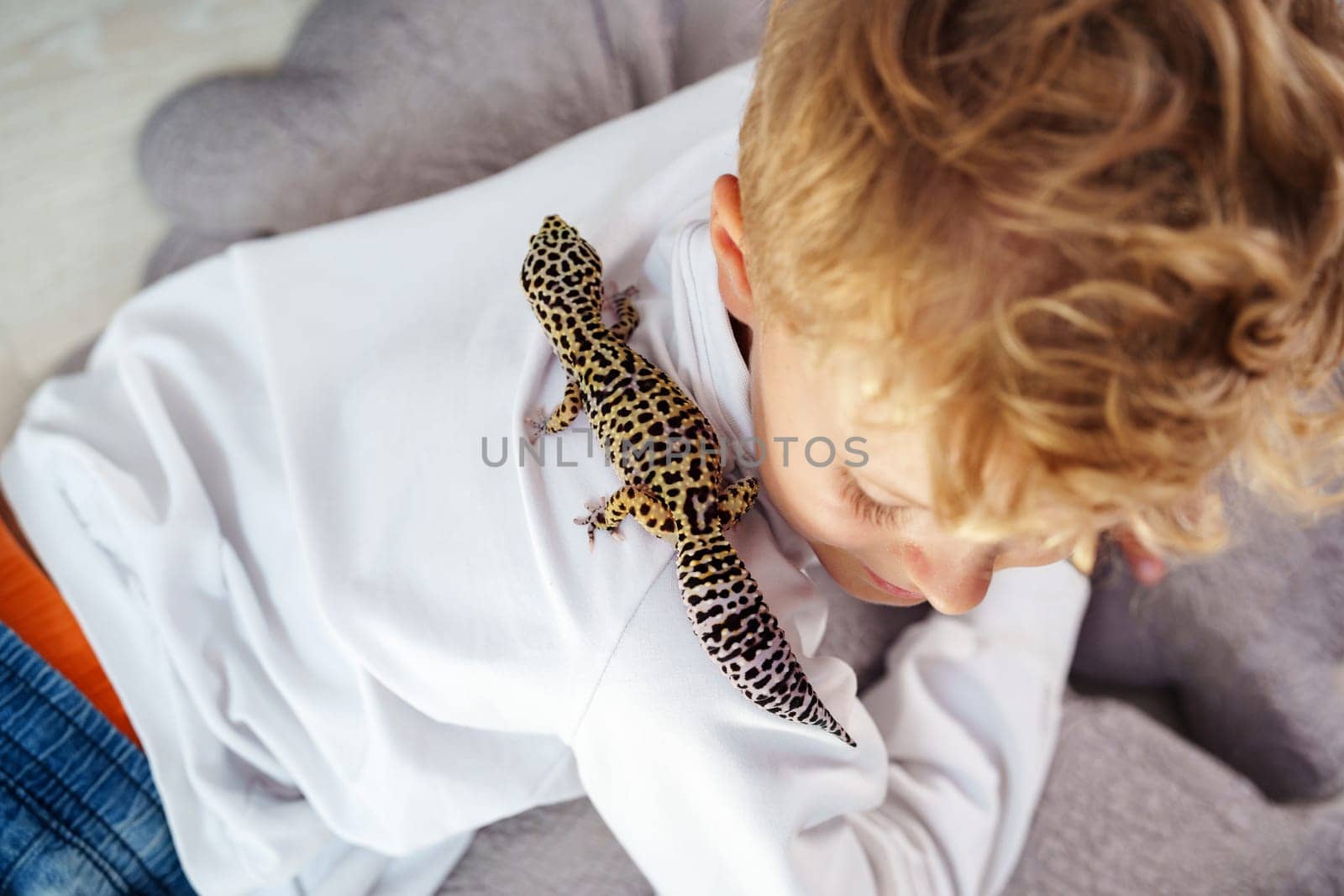A young boy is captivated as he gently touches a leopard gecko resting on soft, plush pillows. The warm, inviting atmosphere of the room encourages curiosity and exploration.