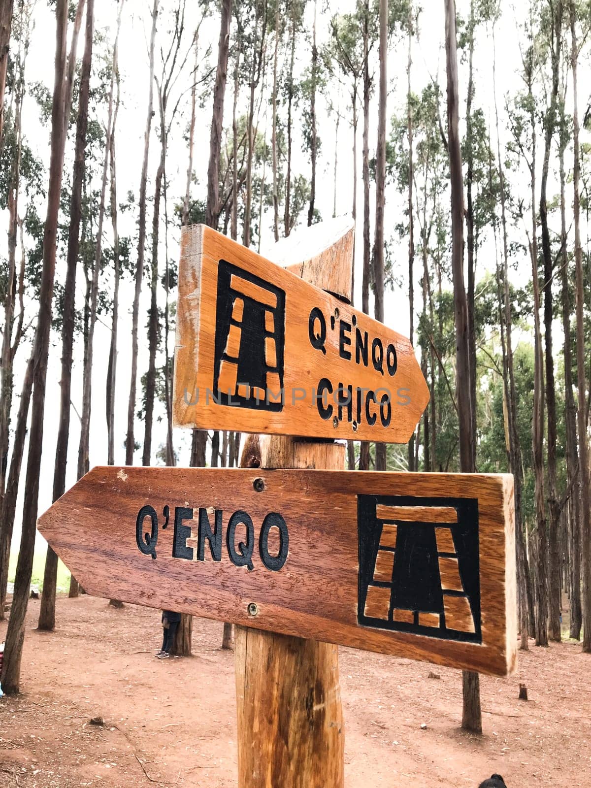 Wooden direction sign indicating the q'enqo chico and q'enqo inca ruins in cusco, peru, surrounded by tall trees