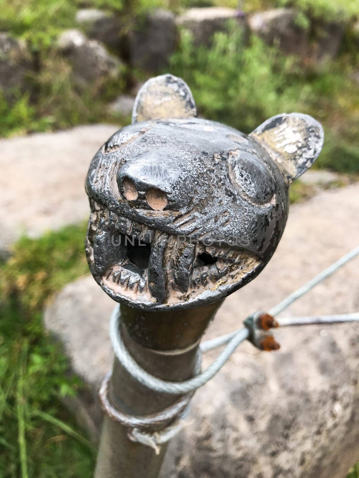 Close up of a puma head sculpture, showcasing inca heritage in cusco