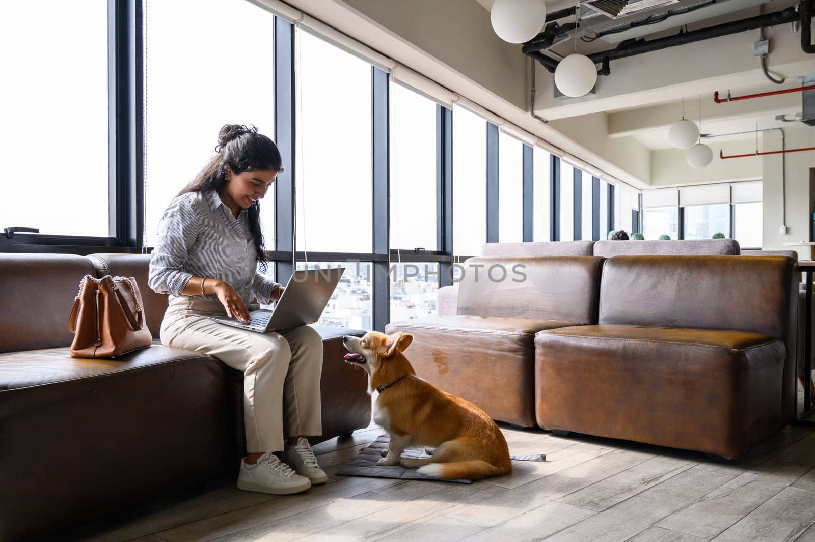 Businesswoman using laptop while accompanied by her corgi in a modern pet friendly office