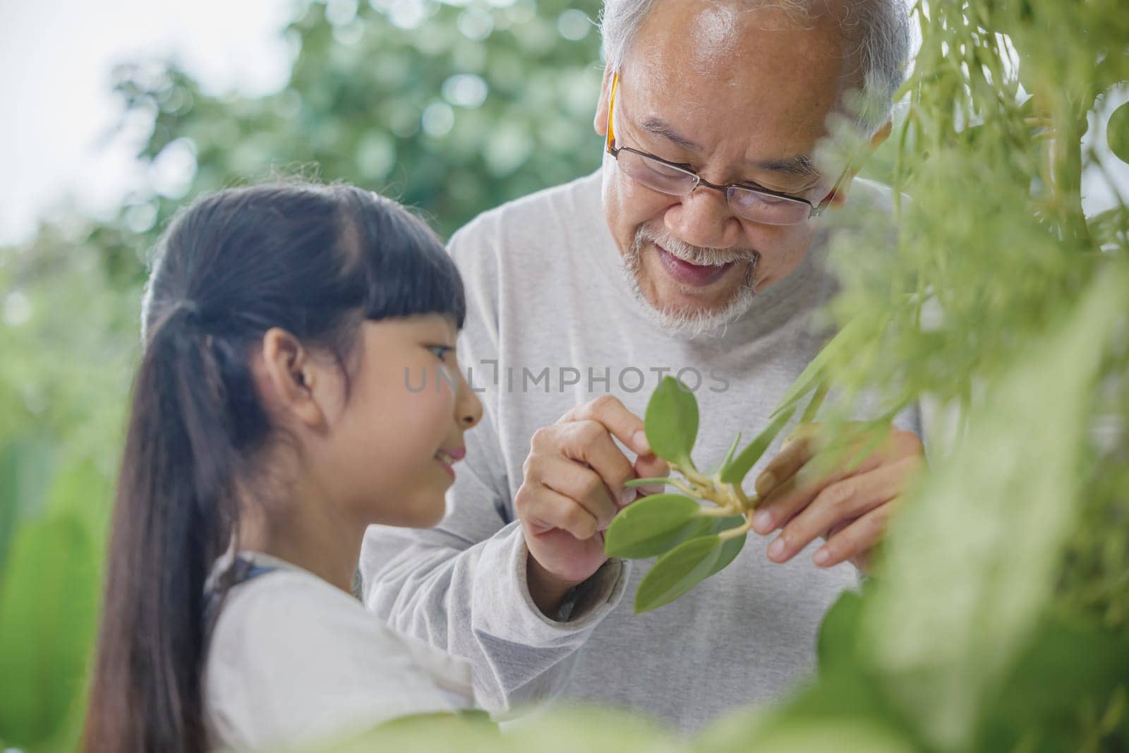 Asian young attractive girl and grandfather standing beside a green potted plant at home held, World Environment Day concept