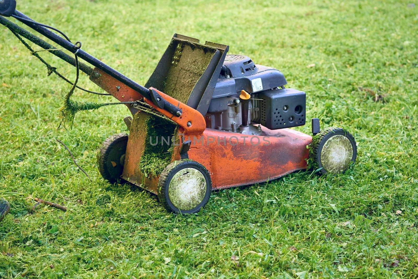 a handle electric or gasoline machine for cutting the grass on a lawn