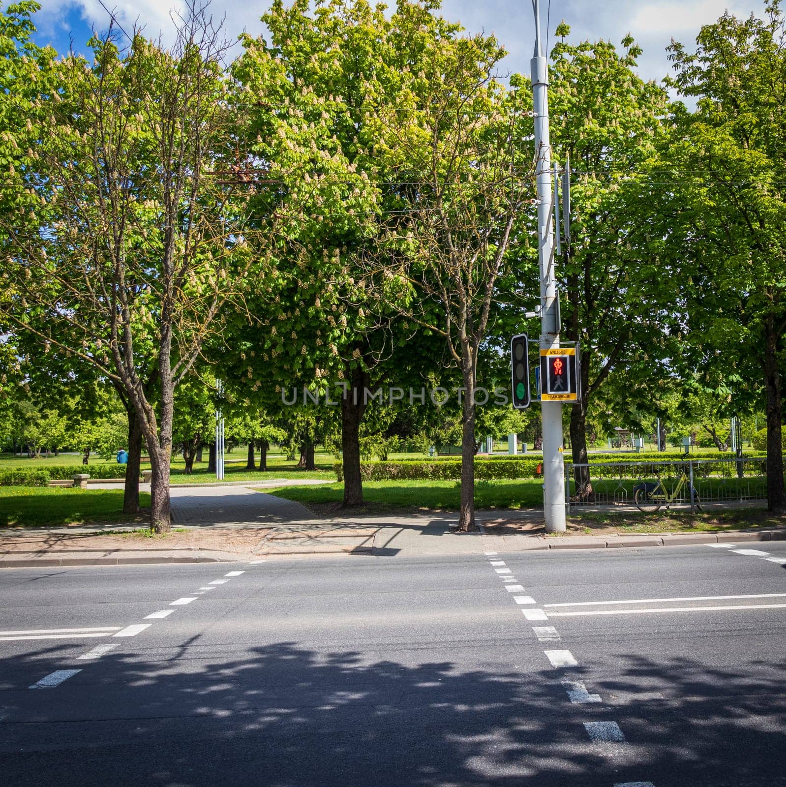 Shot of the signal light at the pedestrian crossing
