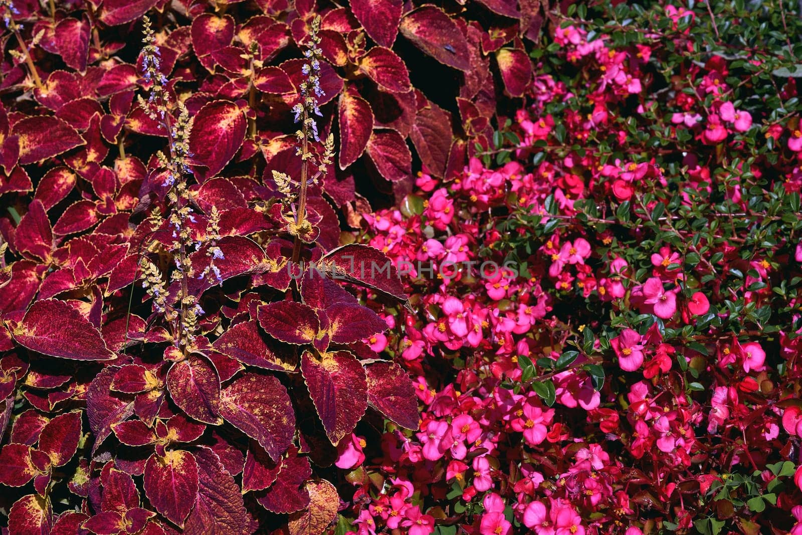 the process of making a yard or other piece of land more attractive by altering the existing design