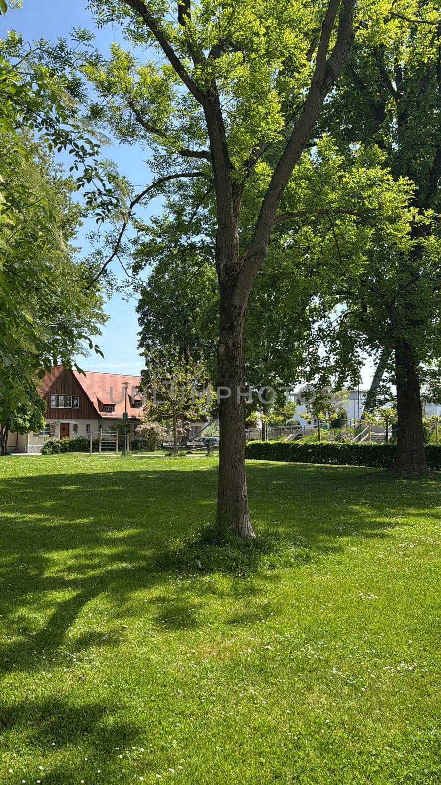Sunlight filtering through lush green trees casts shadows on a well-maintained park lawn. A traditional building in the background enhances the cozy and serene outdoor environment.