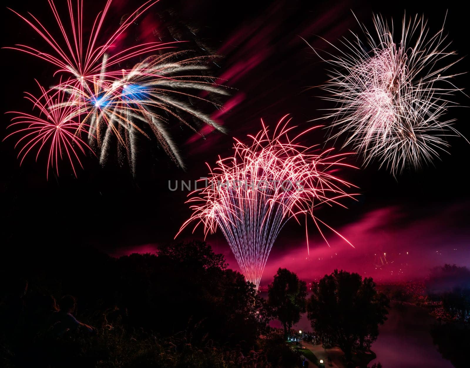Firework display on the night sky at a festival
