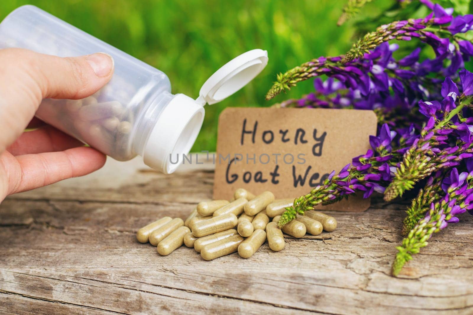 Horny goat wood extract alternative medicine. Selective Focus. nature.