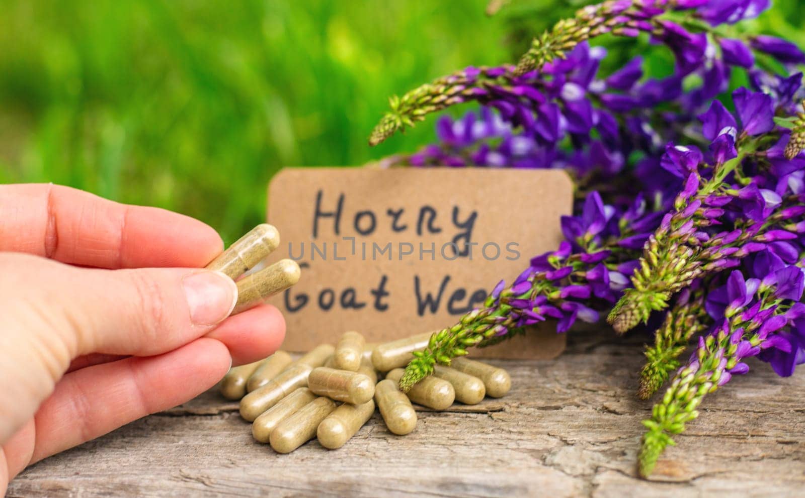 Horny goat wood extract alternative medicine. Selective Focus. nature.