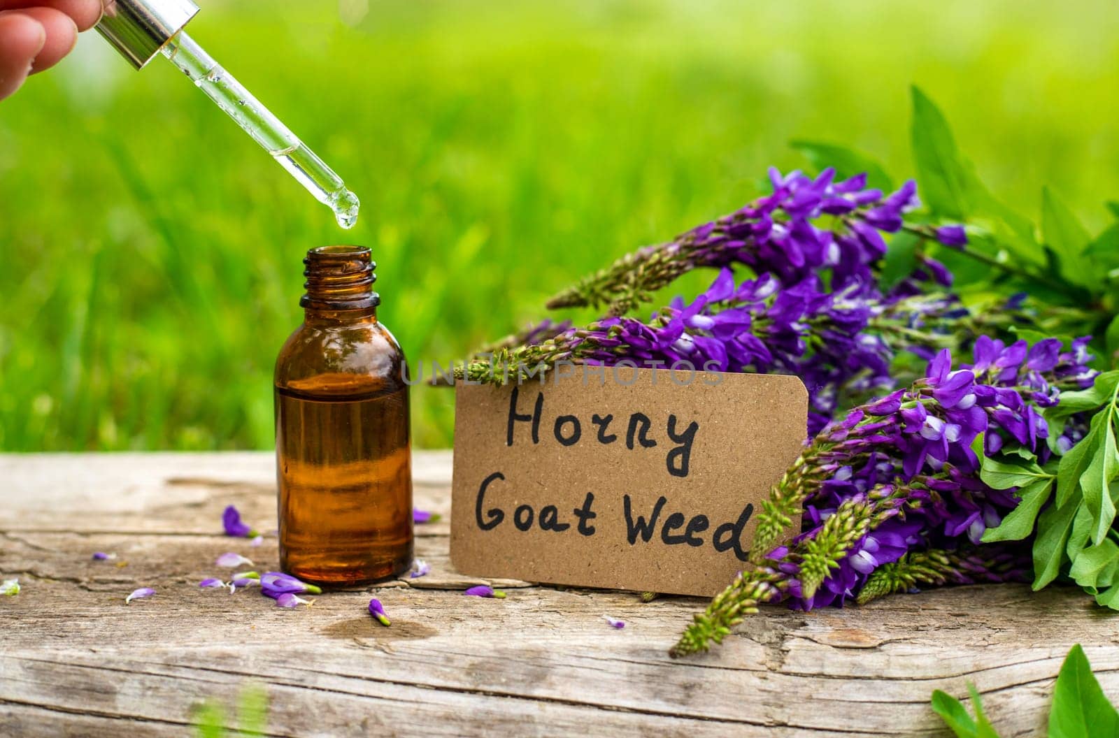 Horny goat wood extract alternative medicine. Selective Focus. nature.