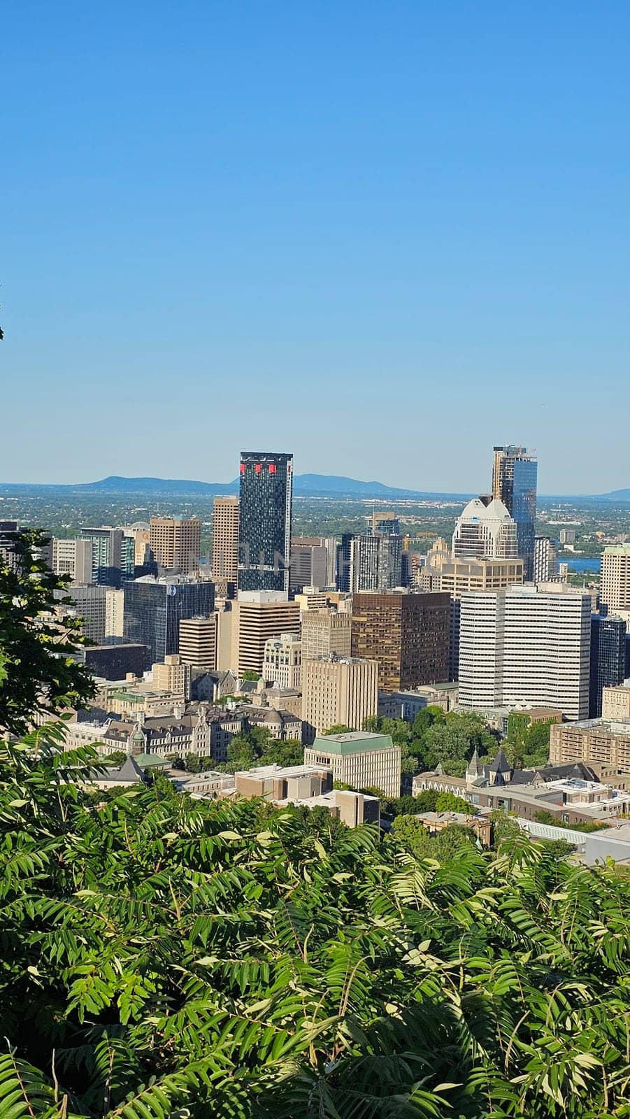 Montreal, QC Canada - 07.01.2024: Montreal Skyline Vista A Captivating Urban Panorama Under a Clear Blue Sky, Quebec, Canada.