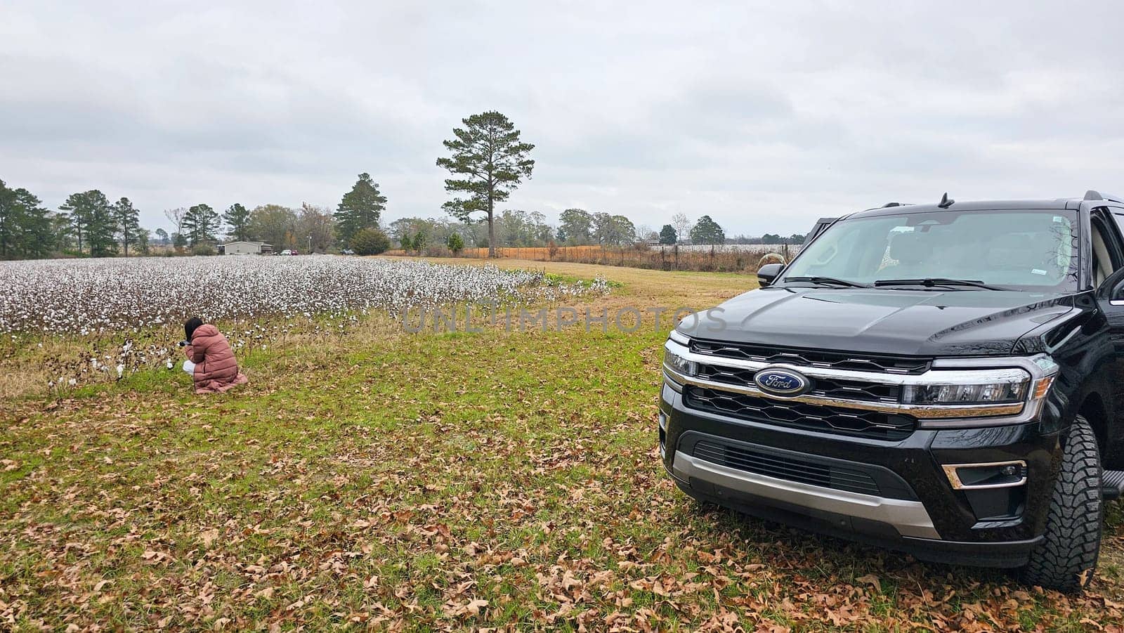 Chancellor, AL USA - 12.26.2024: Exploring Rural America Woman in Cotton Field with Vehicle on Overcast Day, Serene Landscape.