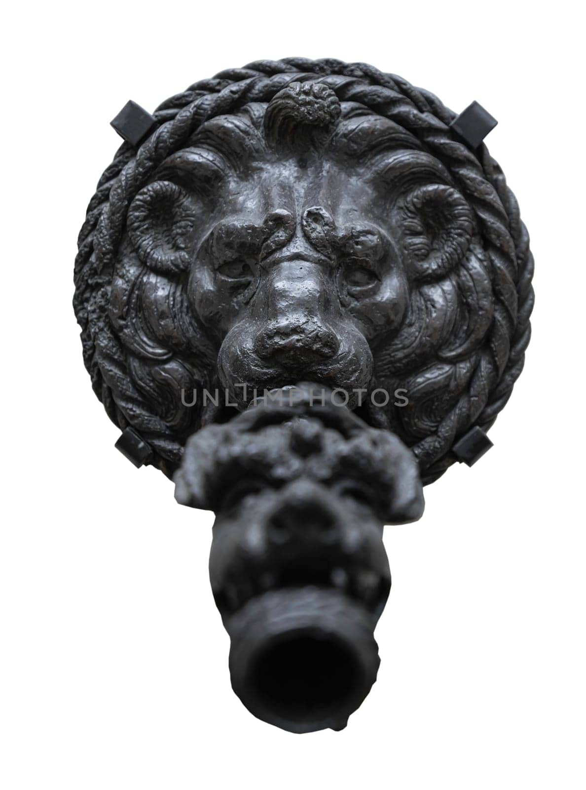 London, UK - May 07, 2025 - Renaissance bronze sculptures of a lion and grotesque serpent on the water spout, Part of a wall fountain with The lion held the beast in its mouth isolated on white background with clipping path. use it as your Wallpaper, Poster and Space for text, Selective focus.