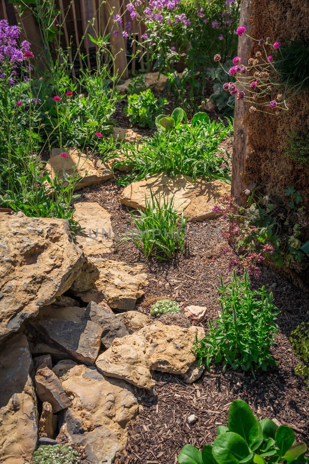 Beautiful landscaped natural garden with plants, succulents, rocks and stones.