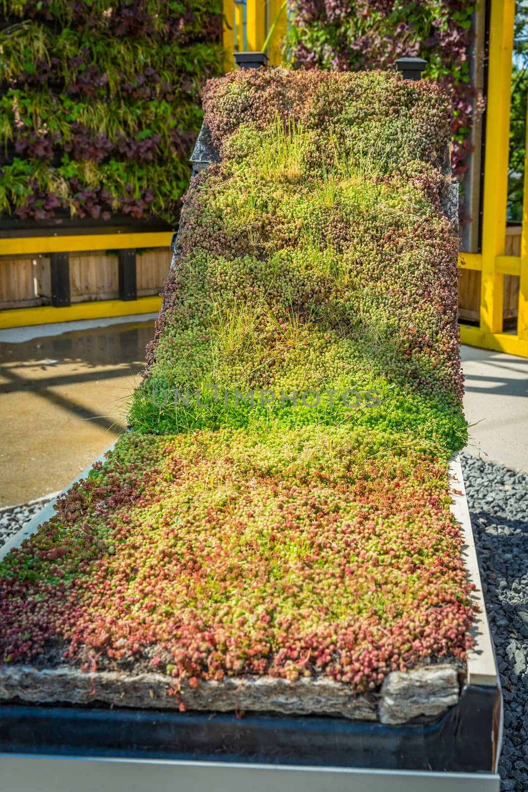 Example of extensive rooftop garden in a garden shop