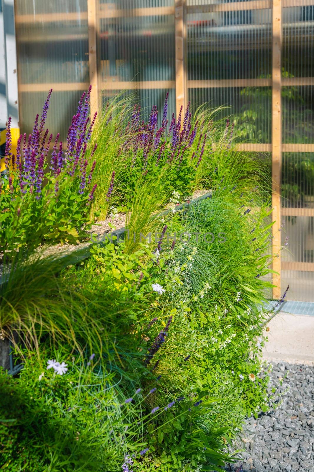 Example of vertical gardening for a garden fence in a shop. Vertical gardening.
